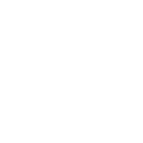 orleansmetropole